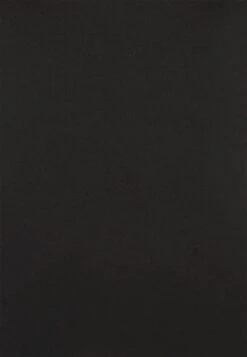 Anna Field 2 PACK - Langarmshirt - Black/mottled Grey 10 Anna Field 2 PACK - Langarmshirt - Black/mottled Grey -Anna Field 0dc508e6fbe54431b34a612a85aedc7a